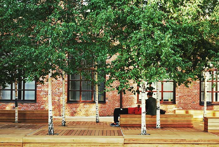 В гармонии с живой природой